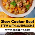 slow cooker beef stew with mushrooms pinterest pinnable image photo