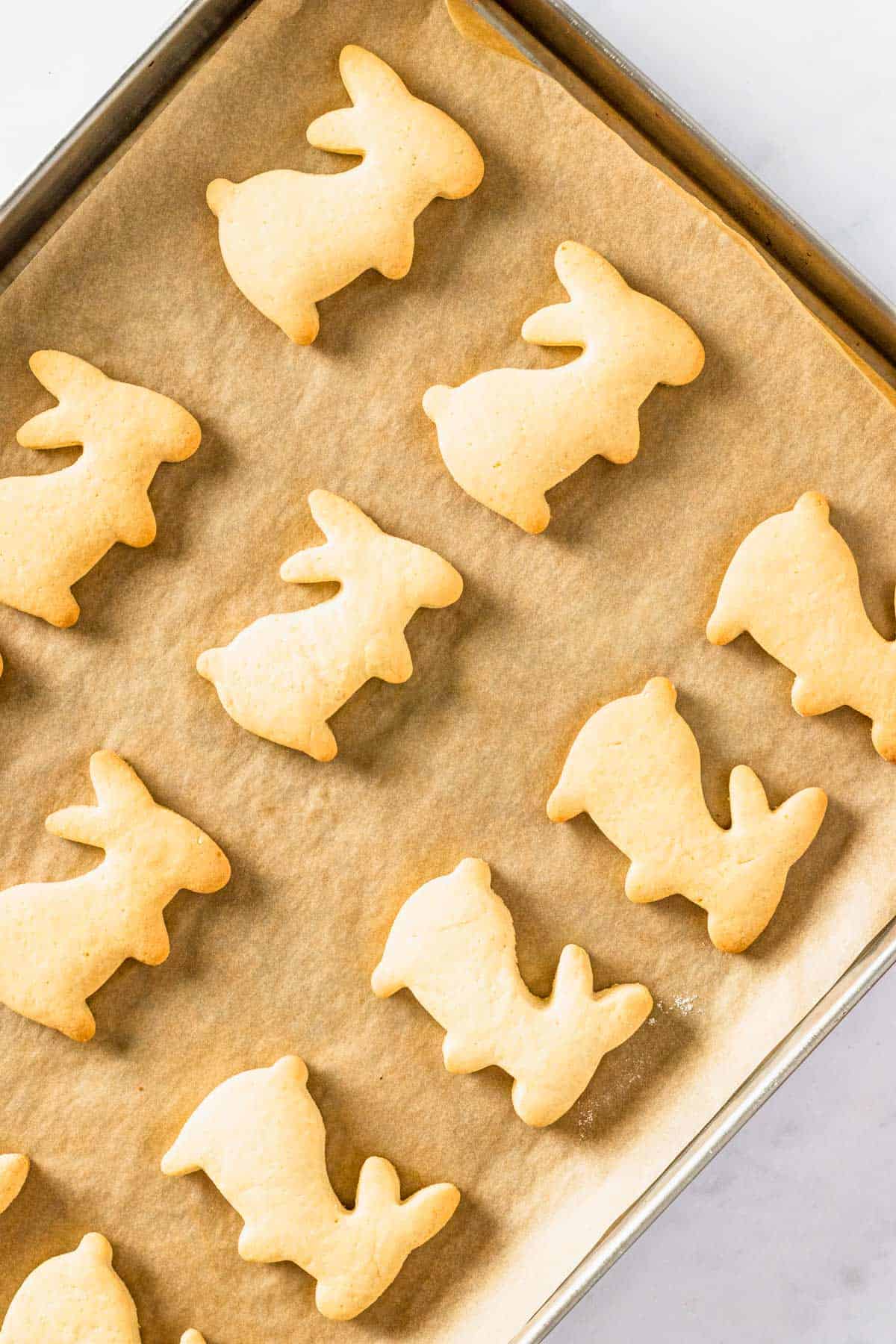 baked bunny sugar cookies on baking sheet