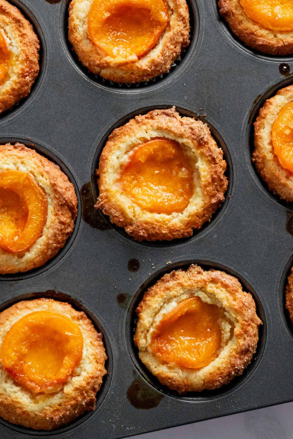 freshly baked apricot muffins in muffin tins.