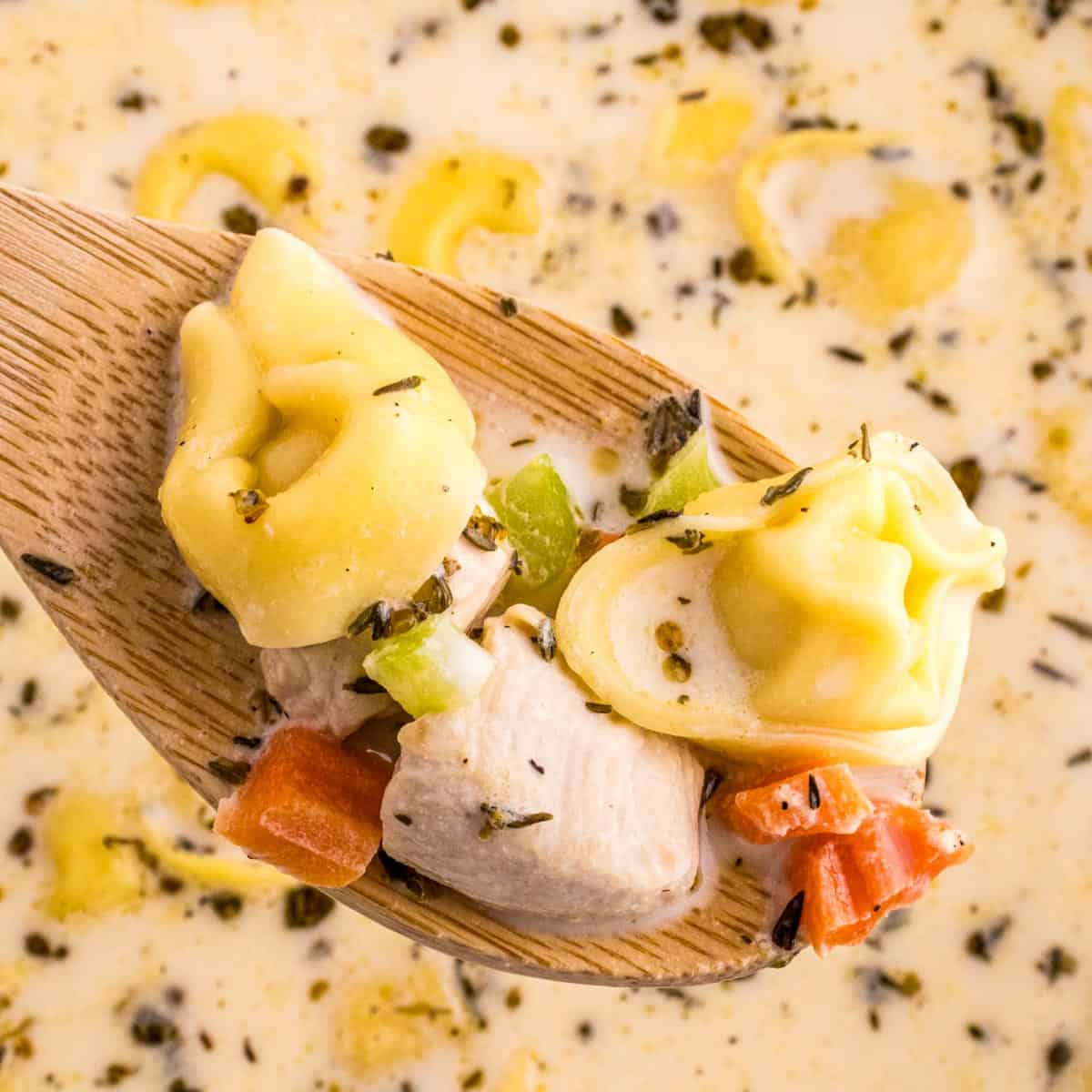 Chicken Tortellini Soup (With Creamy Alfredo!)