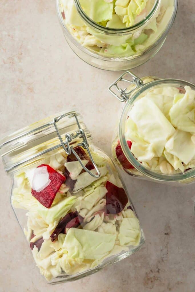 cabbage added to pickling jars.