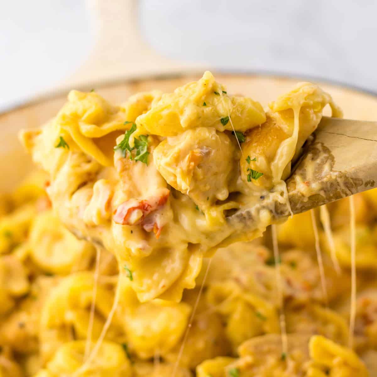 Marry Me Chicken Tortellini