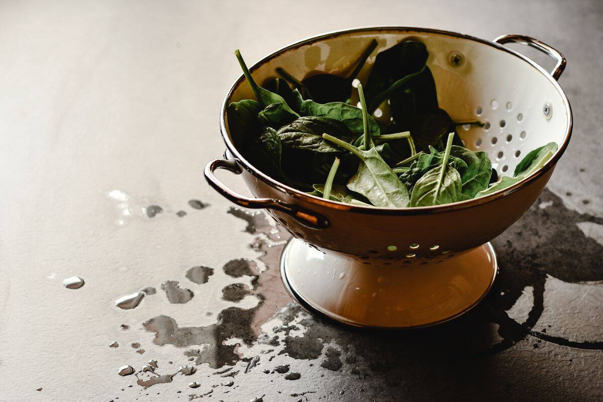 Spinach in a Colander