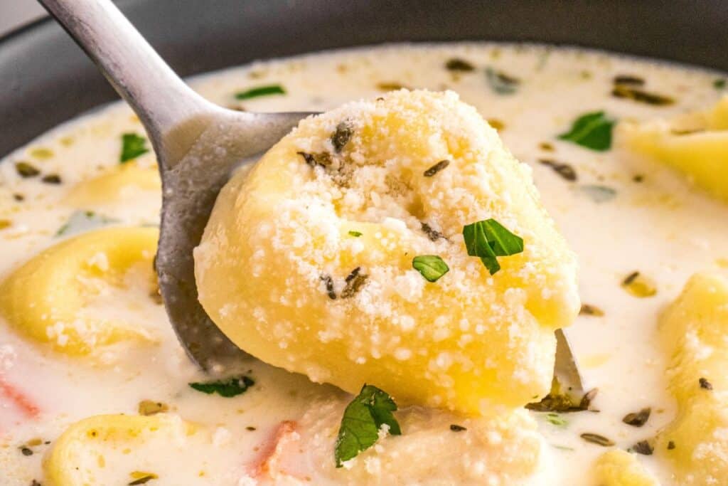 Creamy tortellini soup with chicken and herbs