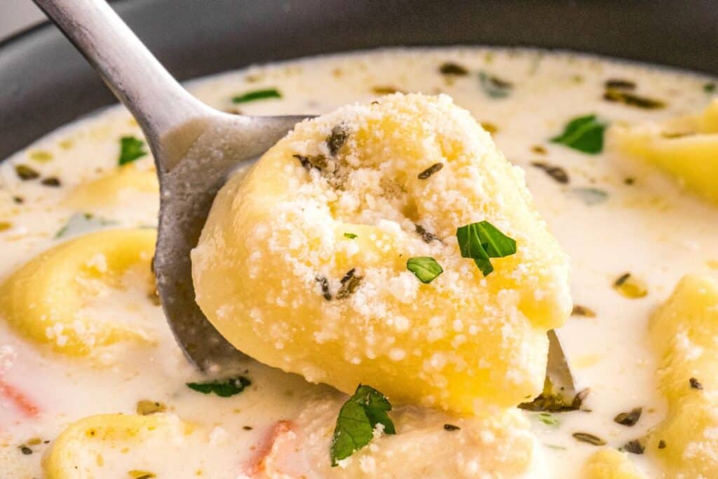 Creamy chicken tortellini soup with herbs and pasta