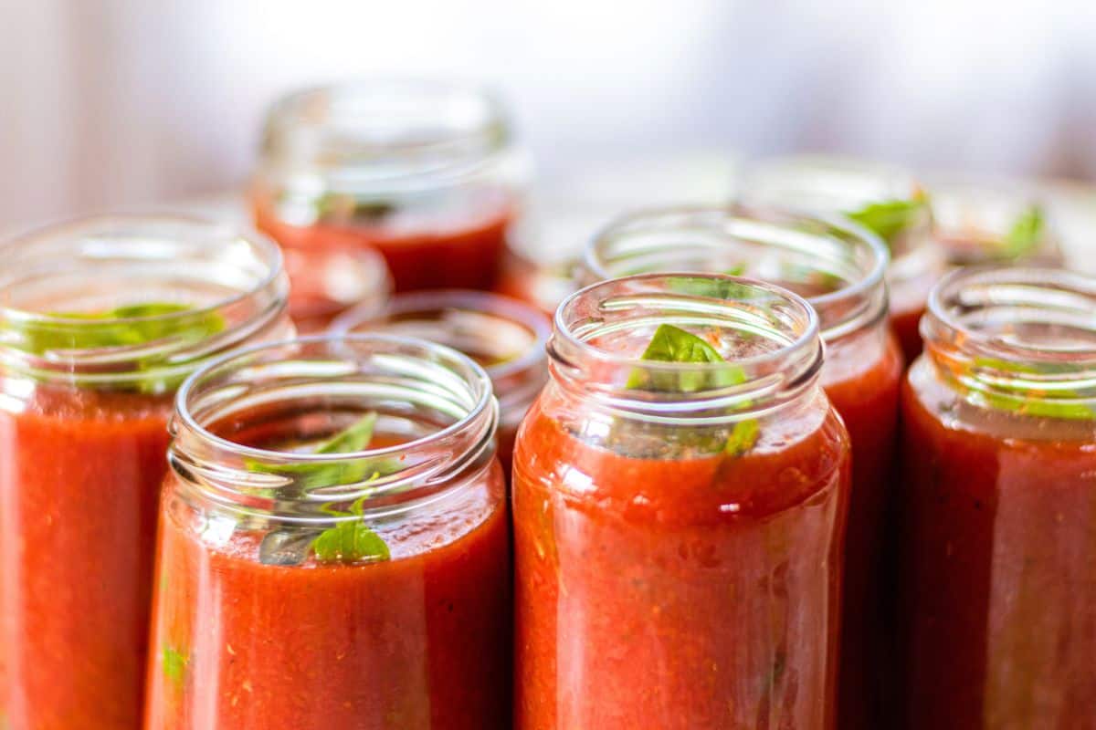 Small glass jars filled with fresh tomato sauce topped with herbs