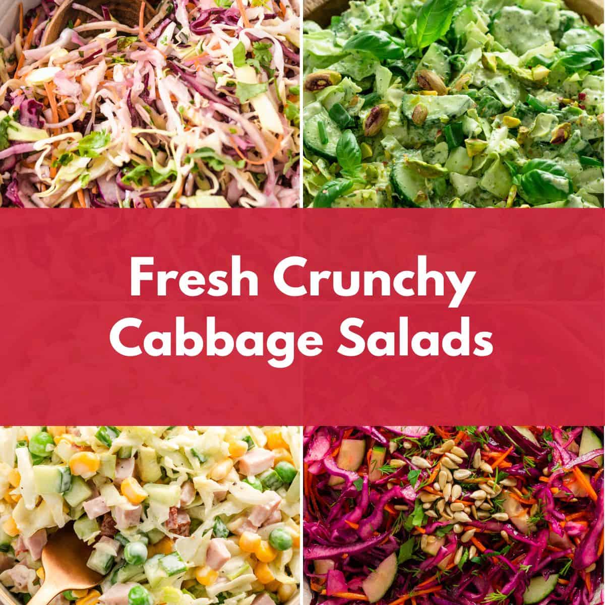 Collage of colorful cabbage salads with shredded vegetables and a text overlay reading "Fresh Crunchy Cabbage Salads"