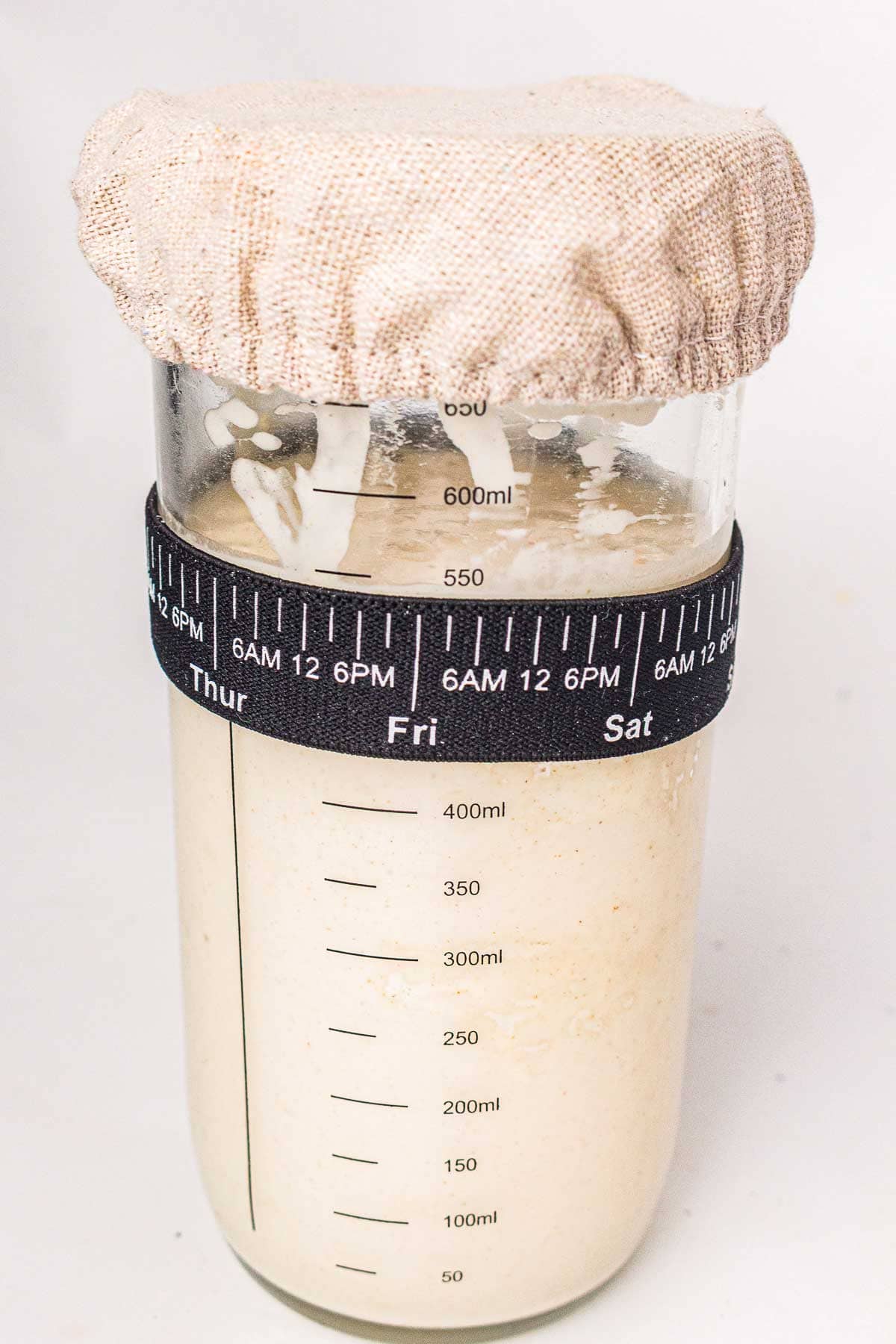 Sourdough starter in a jar with rise marker band and cloth cover