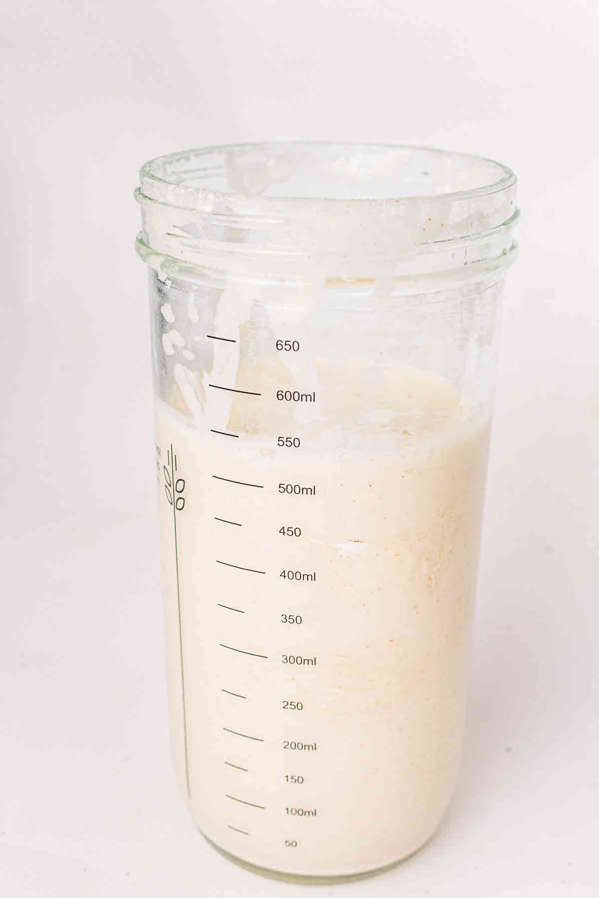 Side view of sourdough discard in a tall glass jar