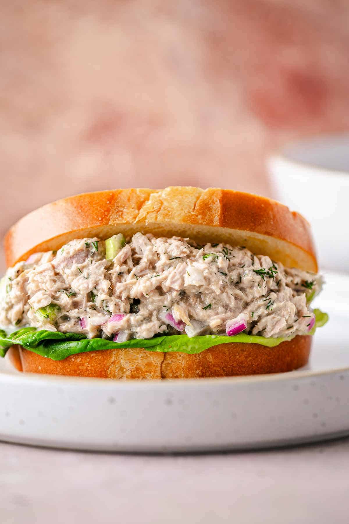 Tuna salad sandwich with lettuce on a soft bread roll