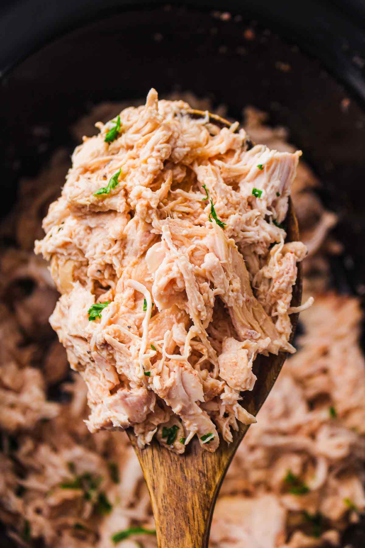 Wooden spoon holding shredded slow cooker chicken over the crockpot.