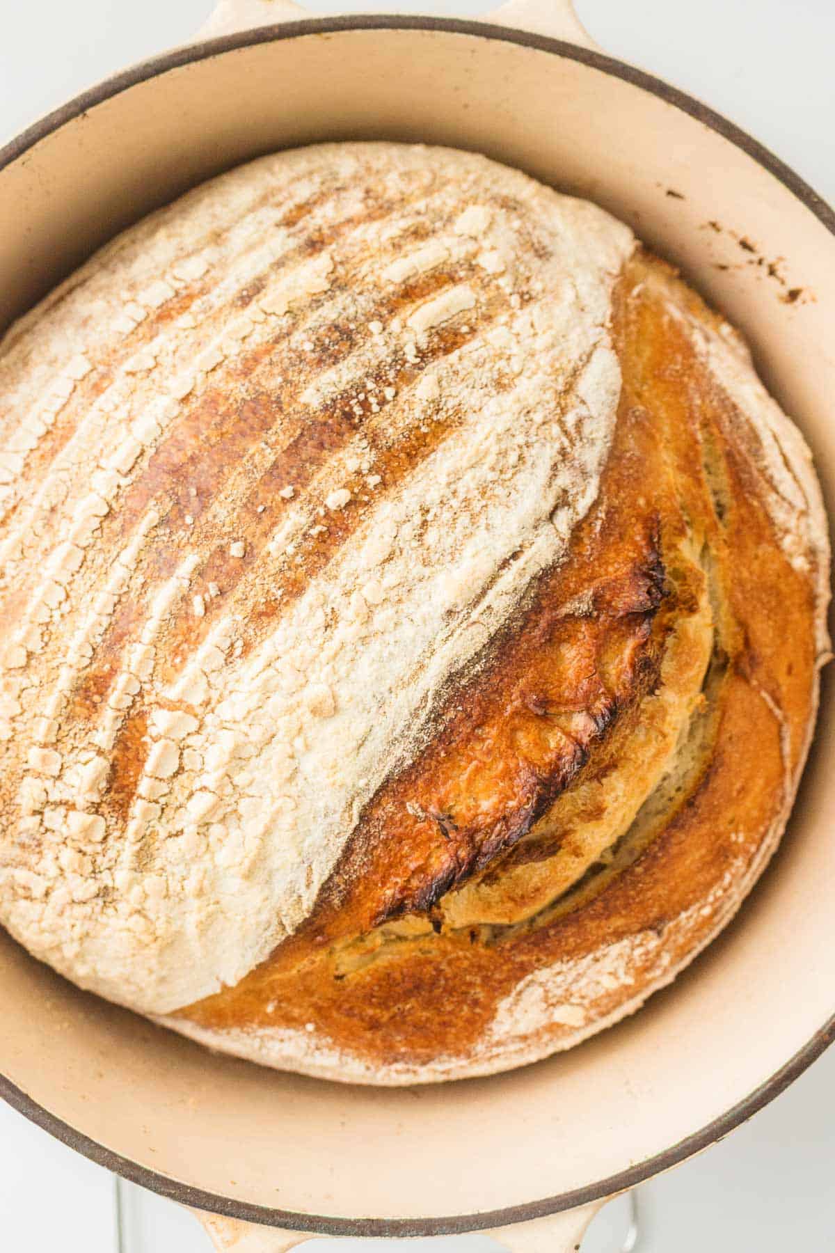 Freshly baked sourdough bread with a golden crust in a Dutch oven