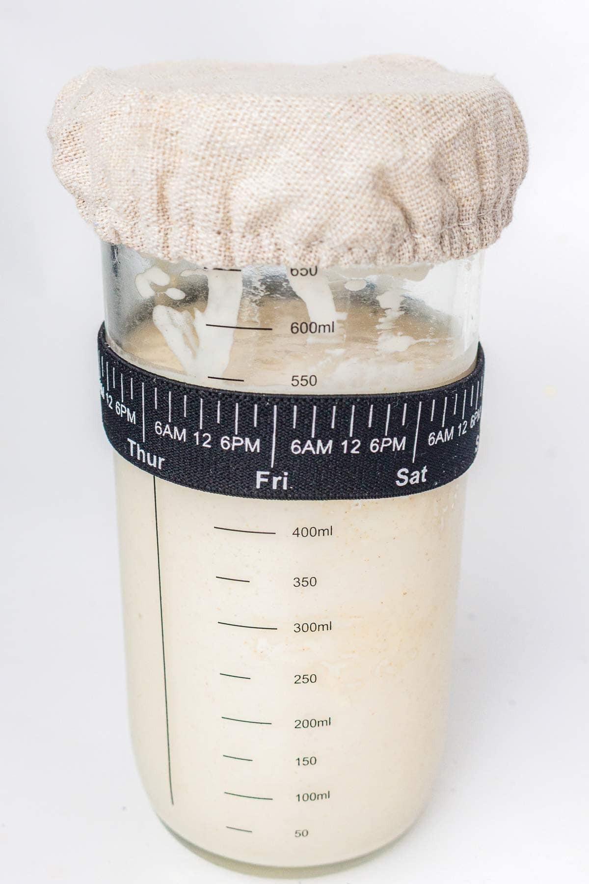 Active sourdough starter doubled in size in a glass jar with a cloth cover
